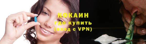 индика Каменка
