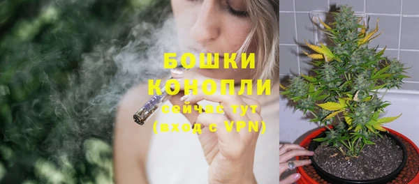 дживик Аркадак