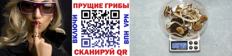 Псилоцибиновые грибы Magic Shrooms  Купить  Алексеевка 